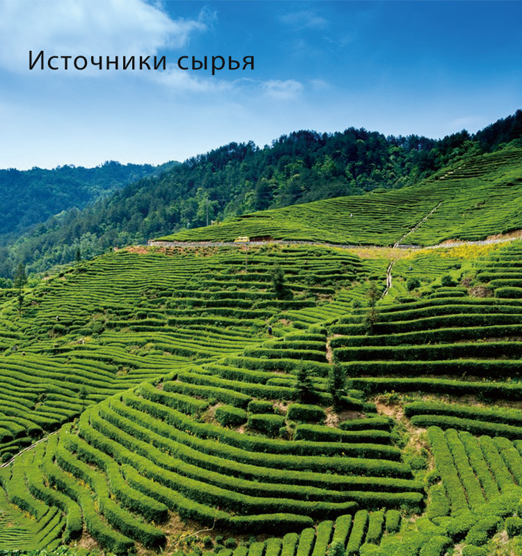 原料源头.jpg